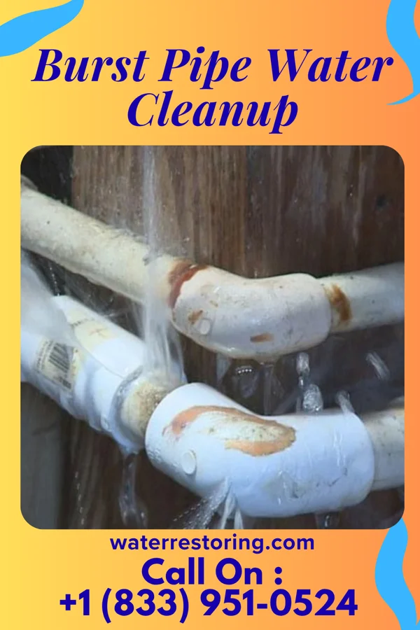 Burst Pipe Water Cleanup in Campbell, MO